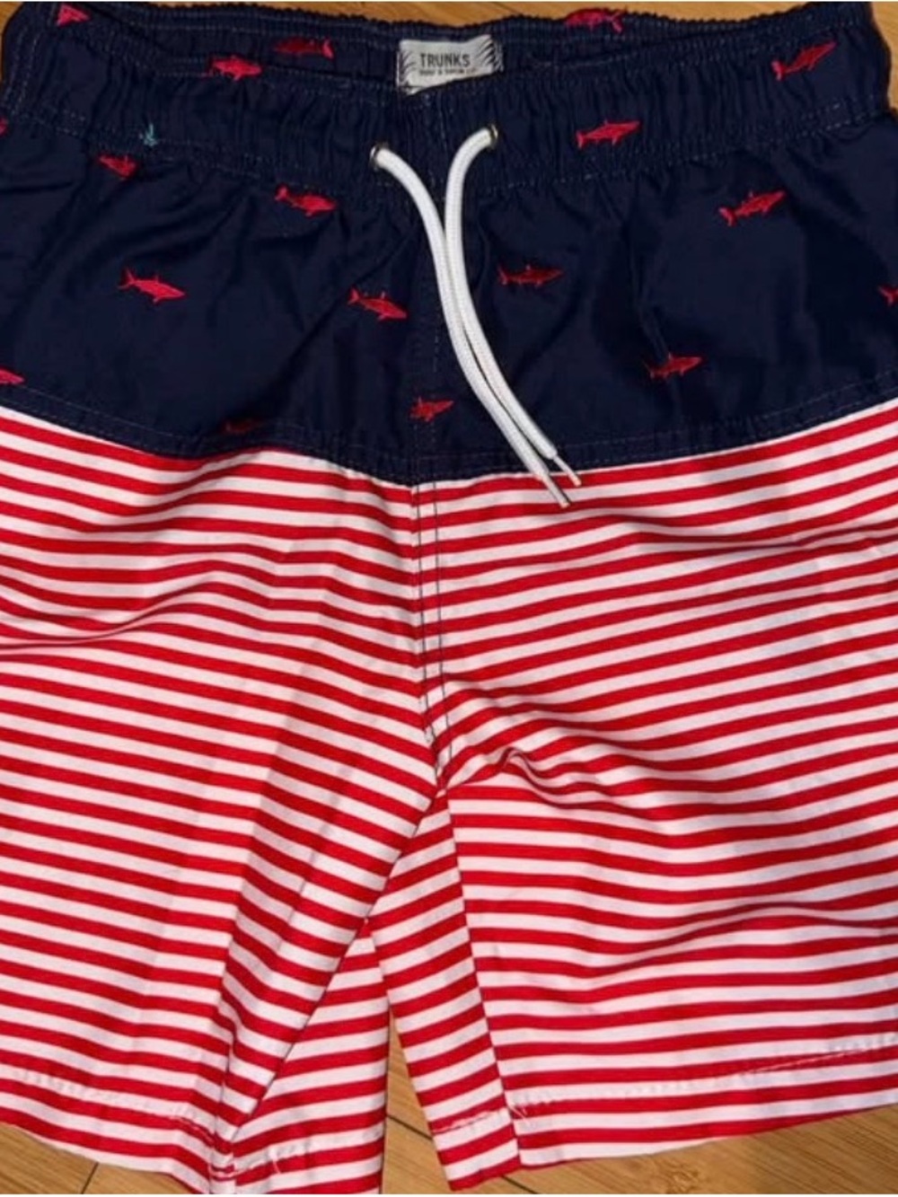 Men’s Navy & Red Shark Embroidered Stripe Swim Trunks